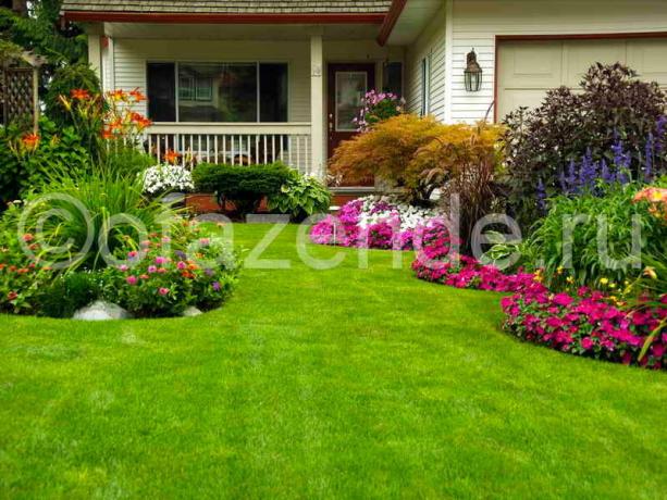 Kvitnúce trávnik pred domom s vlastnými rukami: tipy záhradníkov