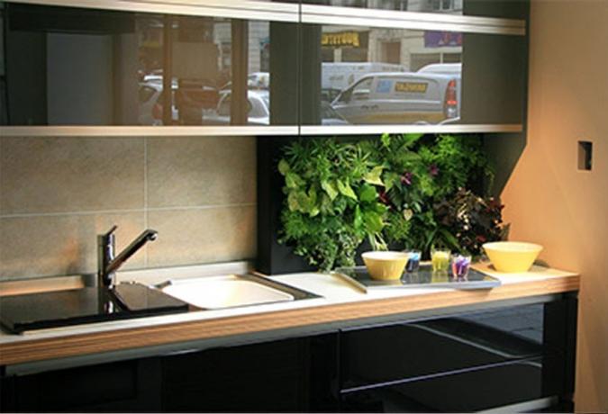 Zelení v kuchyni - čerstvé nápady na použitie domácich rastlín