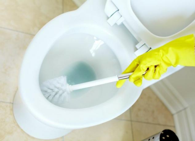 Ako vyčistiť toaletu pomocou skrutkovača?