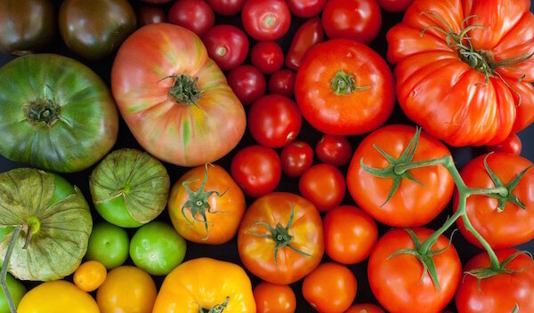 Pôvodný metóda pre pestovanie paradajok v trojobale