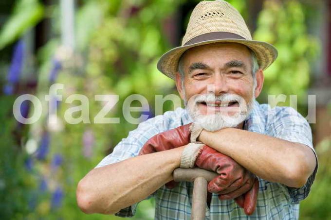 Správne plánovanie rastlinného susedstve