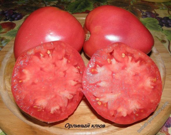 Foto z Tomato paradajka
