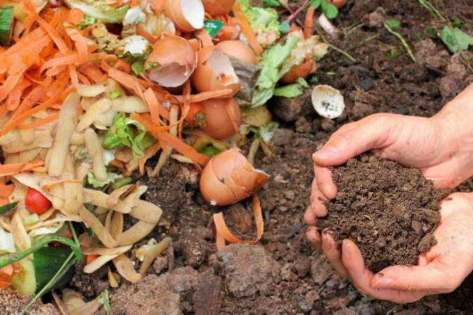 Škrupina - nepostrádateľný produkt pre prípravu vysoko kvalitného kompostu