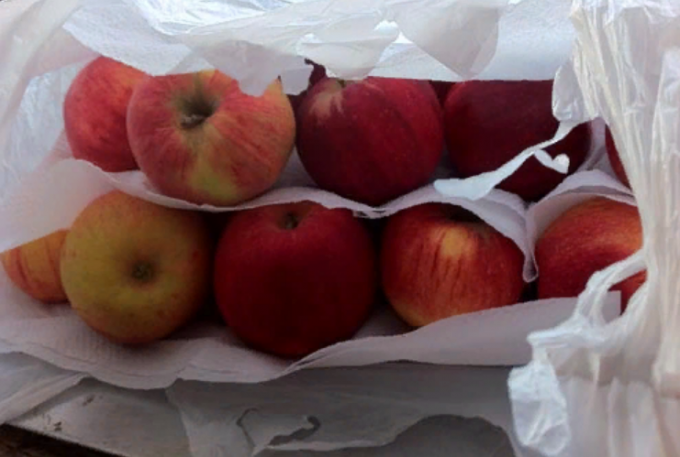 Ako udržať jablká čerstvé na zimu doma