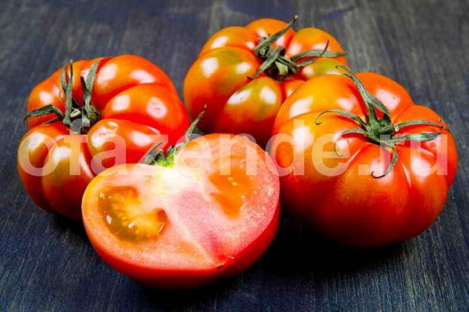 Ako urýchliť dozrievania paradajok