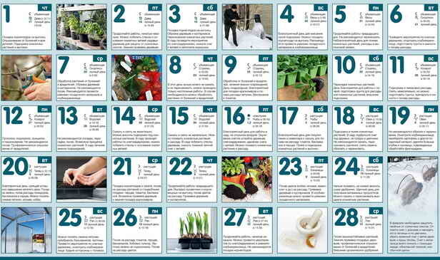 kalendár záhradník