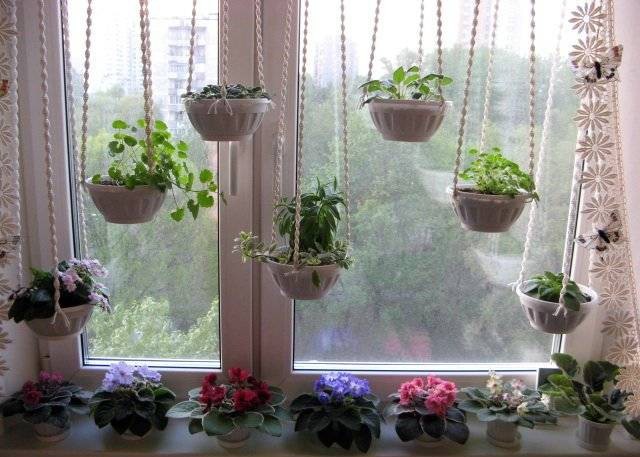 Originálna okenná dekorácia s rastlinami