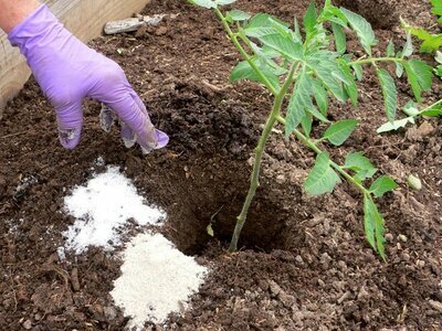 Zabudnite na navozeUdobrenie viac hnoj! Ak chcete zvýšiť výnosy, hnojiť na jar populárnej... Naučiť bolsheprod-med.infoYandeks. priamy