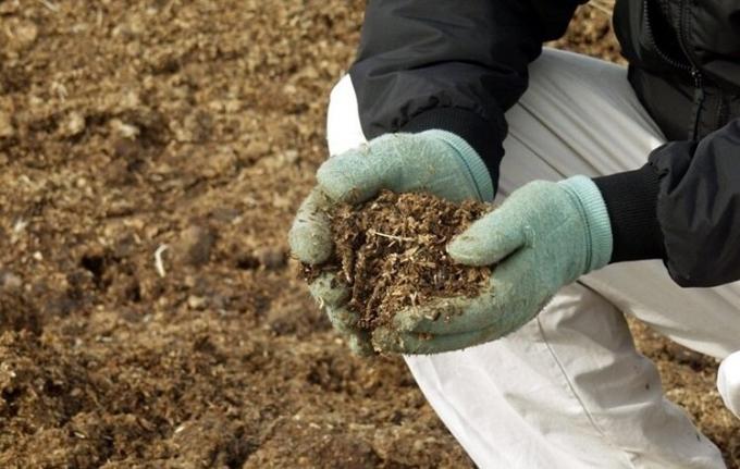 Prečo záhradkárov použitie odpadu hnoja na svojom pozemku