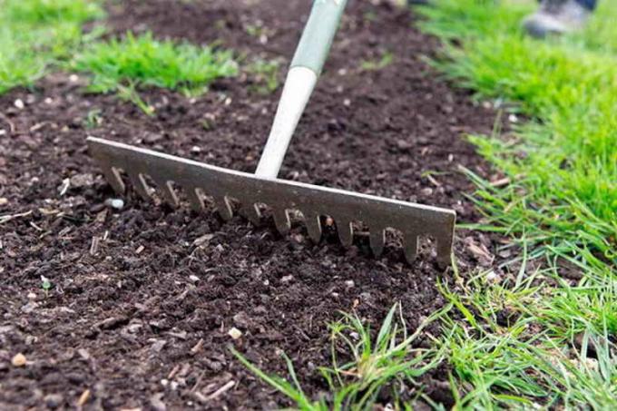 Prehĺbiť využitie semien záhradné náradie v podobe raku. V tomto prípade je kompost môže stať rašeliny. Prístrešie kvalitnú izoláciu výsadby, ochranu proti vyplavovanie pružinu.