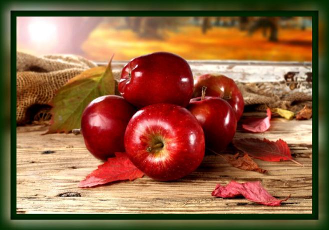 Ako udržať jablká čerstvé na zimu doma