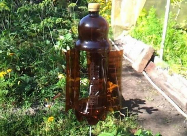 Užitočné používania plastových fliaš v záhrade (Part 2)