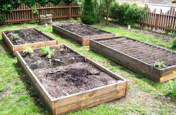 Ako zlepšiť ílovitej pôdy v záhrade bez veľkých finančných investícií. moja skúsenosť